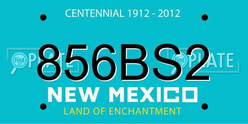 856BS2 New Mexico License Plate