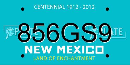856GS9 New Mexico License Plate