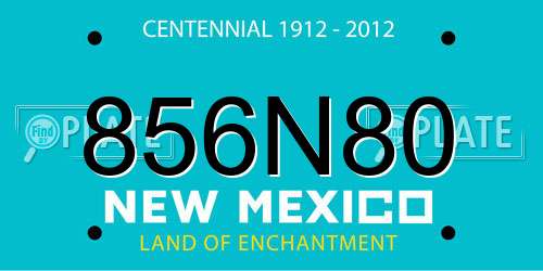 856N80 New Mexico License Plate