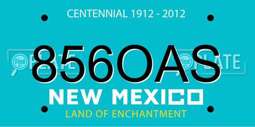 856OAS New Mexico License Plate