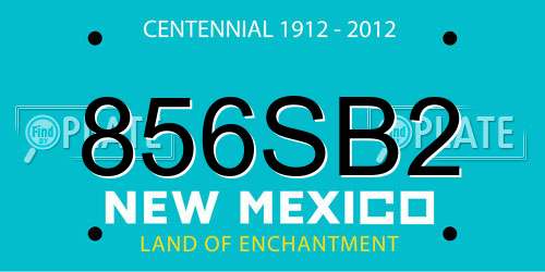 856SB2 New Mexico License Plate