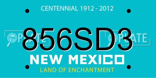 856SD3 New Mexico License Plate