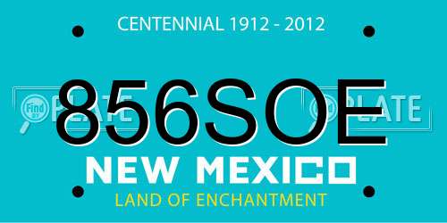 856SOE New Mexico License Plate