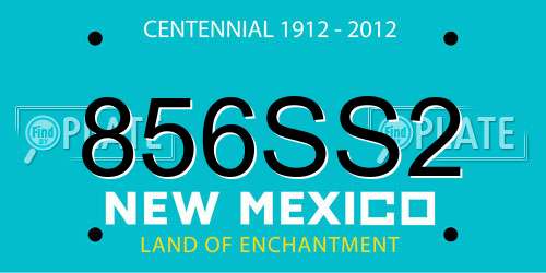 856SS2 New Mexico License Plate