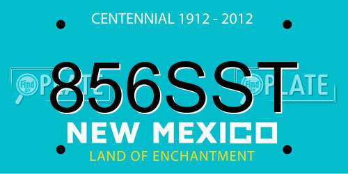 856SST New Mexico License Plate