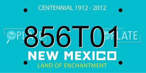 856T01 New Mexico License Plate