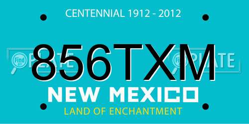 856TXM New Mexico License Plate