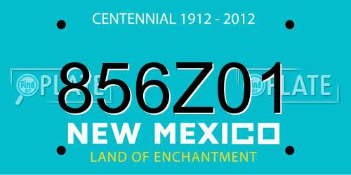 856Z01 New Mexico License Plate