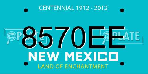 8570EE New Mexico License Plate