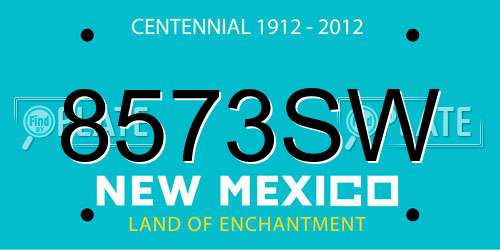 8573SW New Mexico License Plate