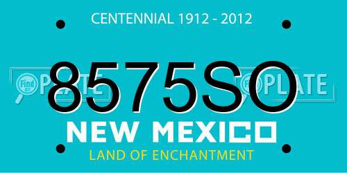 8575SO New Mexico License Plate