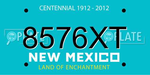 8576XT New Mexico License Plate
