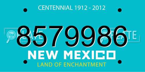 8579986 New Mexico License Plate