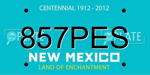 857PES New Mexico License Plate