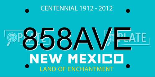 858AVE New Mexico License Plate