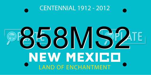 858MS2 New Mexico License Plate