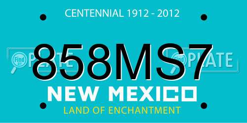 858MS7 New Mexico License Plate