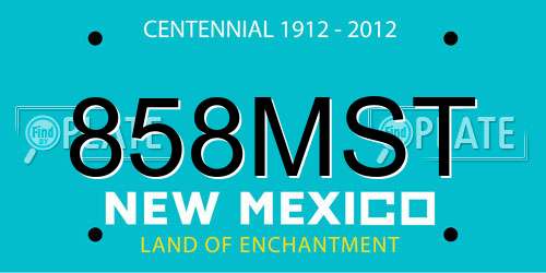 858MST New Mexico License Plate
