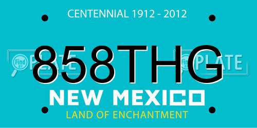 858THG New Mexico License Plate