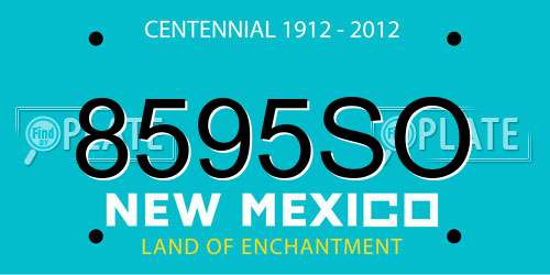 8595SO New Mexico License Plate