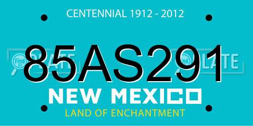 85AS291 New Mexico License Plate