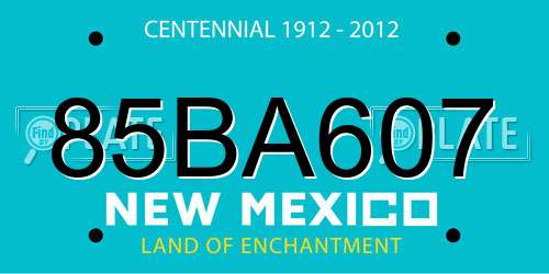 85BA607 New Mexico License Plate