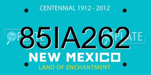 85IA262 New Mexico License Plate