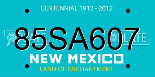85SA607 New Mexico License Plate
