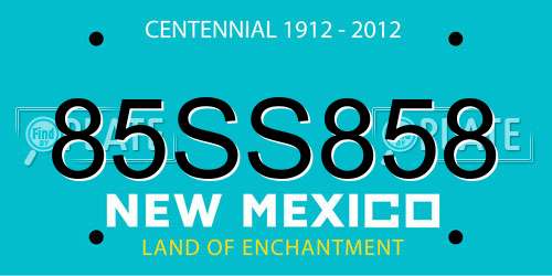 85SS858 New Mexico License Plate