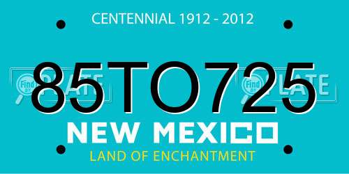85TO725 New Mexico License Plate