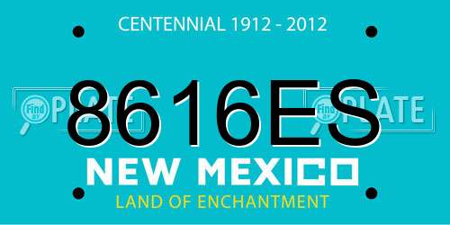 8616ES New Mexico License Plate