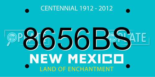8656BS New Mexico License Plate