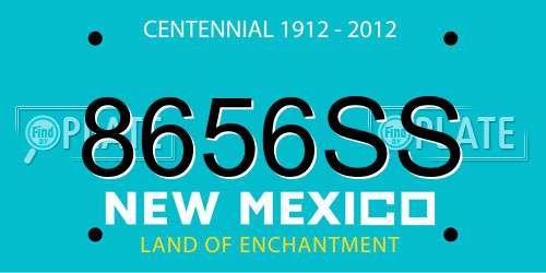 8656SS New Mexico License Plate