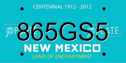 865GS5 New Mexico License Plate