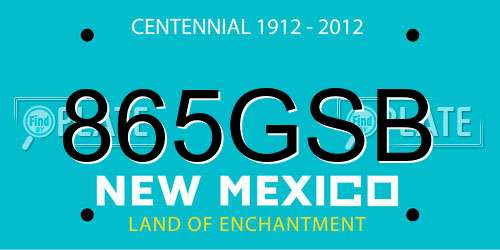 865GSB New Mexico License Plate