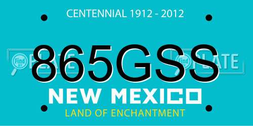 865GSS New Mexico License Plate