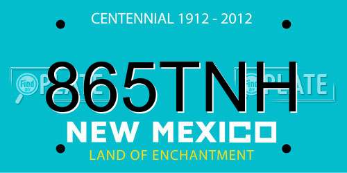 865TNH New Mexico License Plate