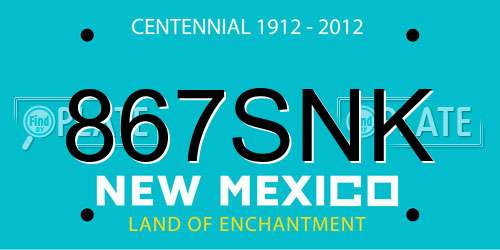 867SNK New Mexico License Plate