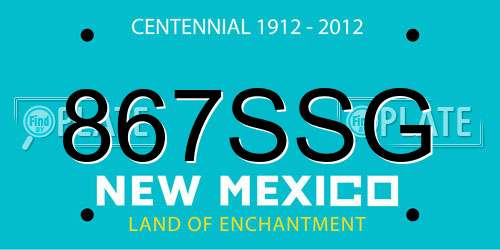 867SSG New Mexico License Plate