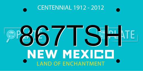 867TSH New Mexico License Plate
