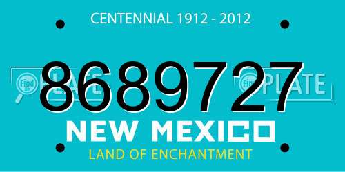 8689727 New Mexico License Plate