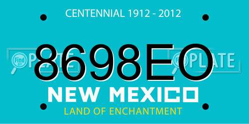 8698EO New Mexico License Plate