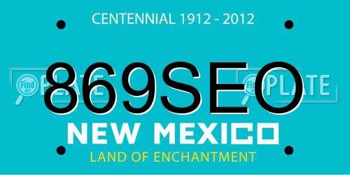 869SEO New Mexico License Plate