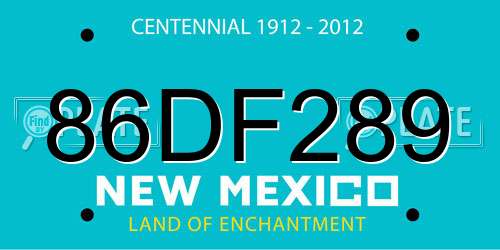 86DF289 New Mexico License Plate