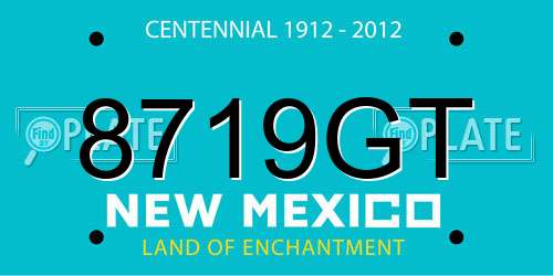 8719GT New Mexico License Plate