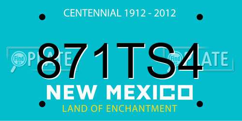 871TS4 New Mexico License Plate