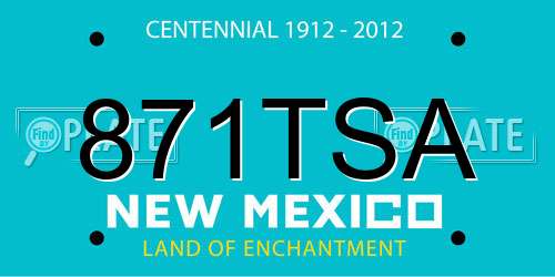 871TSA New Mexico License Plate