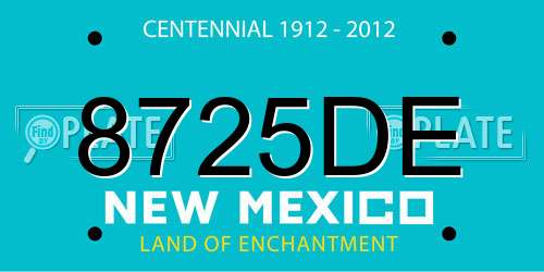 8725DE New Mexico License Plate