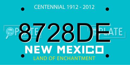 8728DE New Mexico License Plate