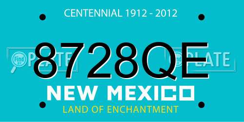 8728QE New Mexico License Plate